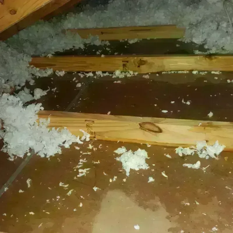 Attic Water Damage in Dilley, TX