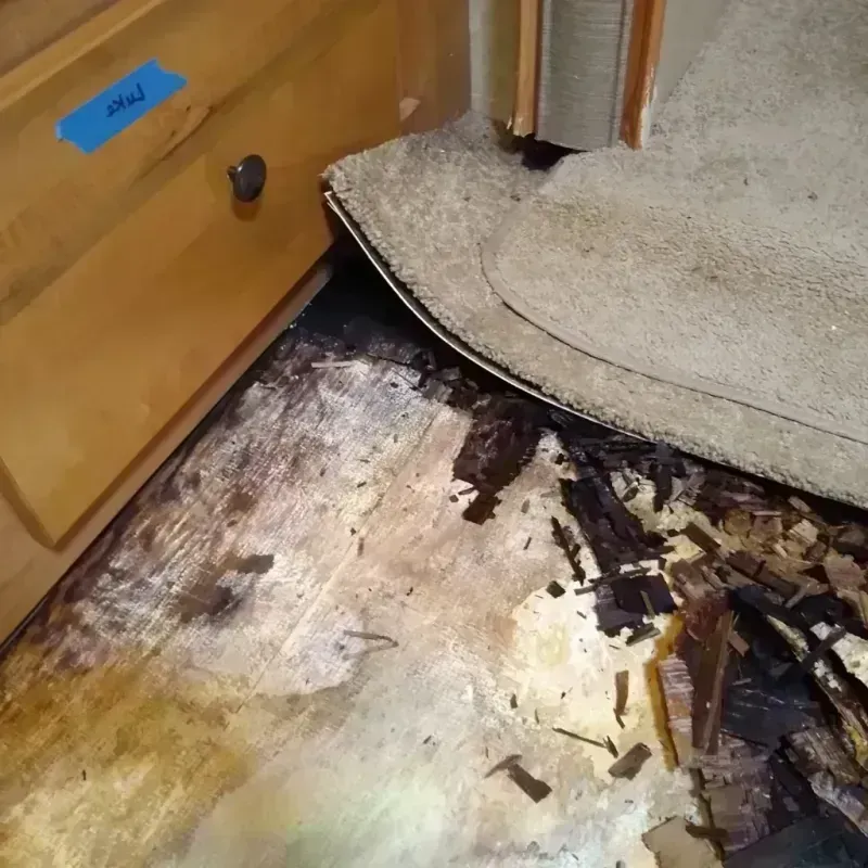 Best Wood Floor Water Damage Service in Dilley, TX